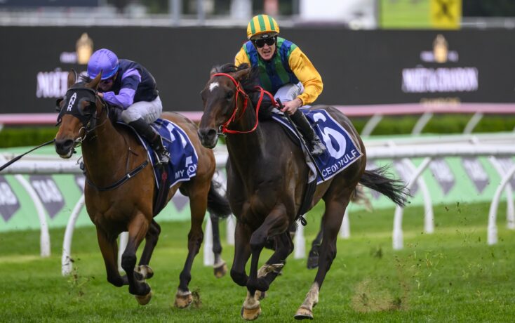 固和俱乐部 固和俱乐部