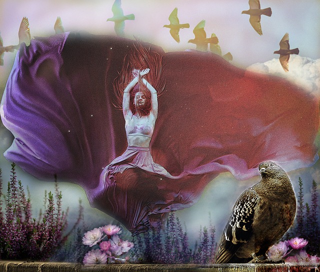 席的深入分 席的深入分