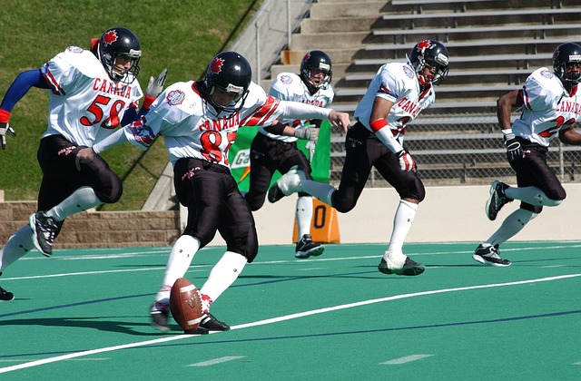 展现了日本 展现了日本