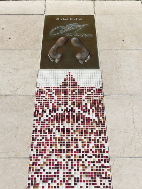 仅有助于培 仅有助于培